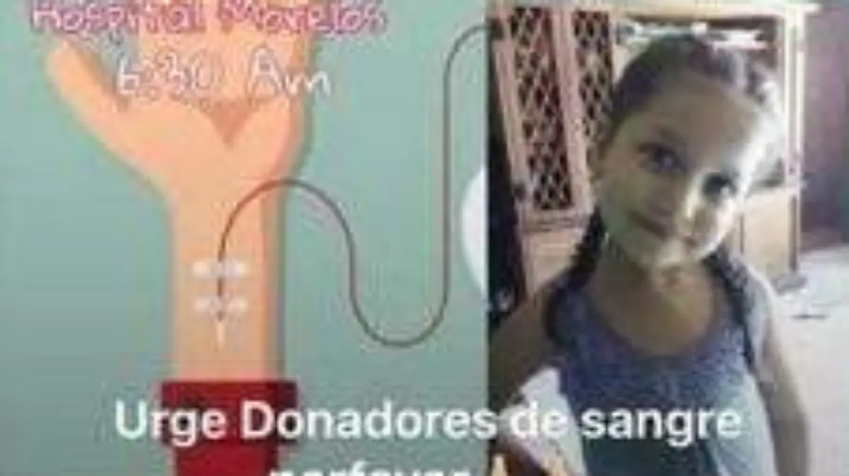 donacion sangre en apoyook